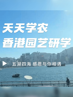 与香港园艺学会联合举办香港园艺研学，专业园境师带队讲解。
